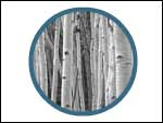 Website design - designed for the bottomline. Website design to achieve your business objectives